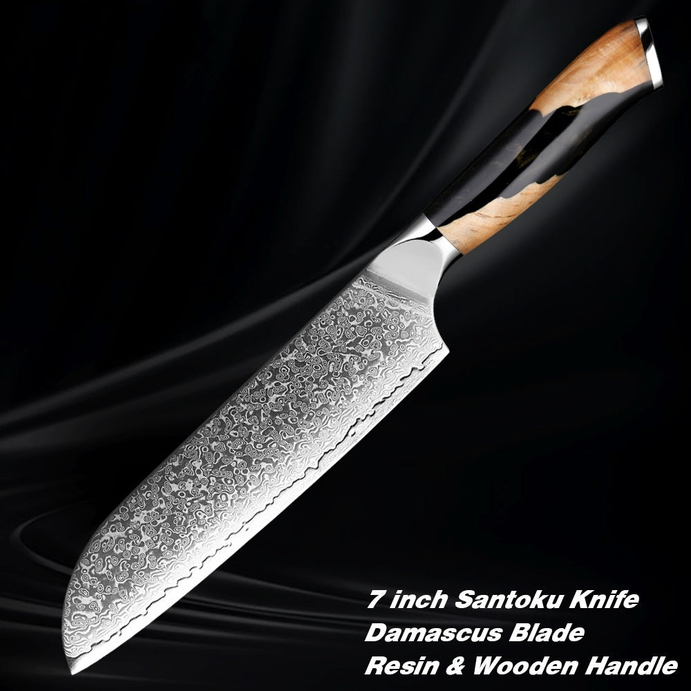 Damascus Steel Kitchen Professional Knives